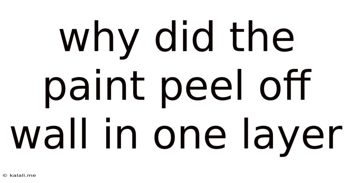 Why Did The Paint Peel Off Wall In One Layer