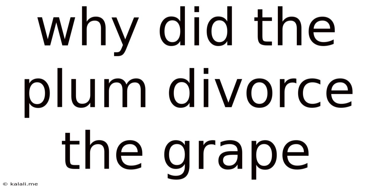 Why Did The Plum Divorce The Grape