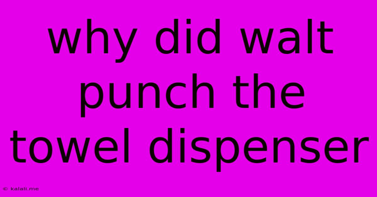 Why Did Walt Punch The Towel Dispenser