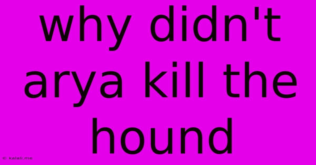 Why Didn't Arya Kill The Hound
