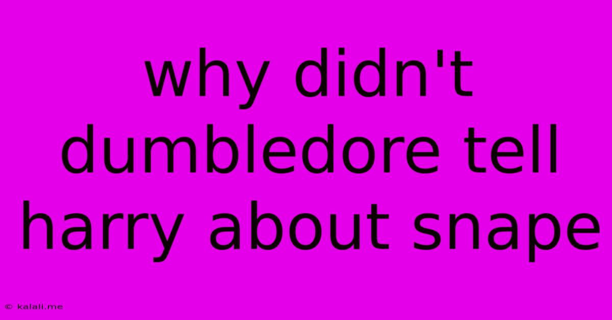 Why Didn't Dumbledore Tell Harry About Snape