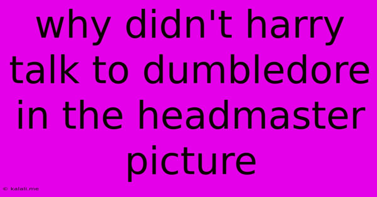 Why Didn't Harry Talk To Dumbledore In The Headmaster Picture