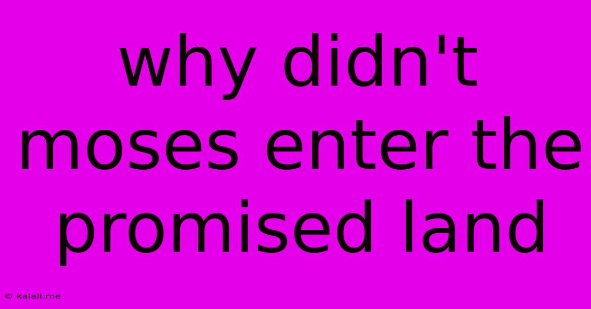 Why Didn't Moses Enter The Promised Land