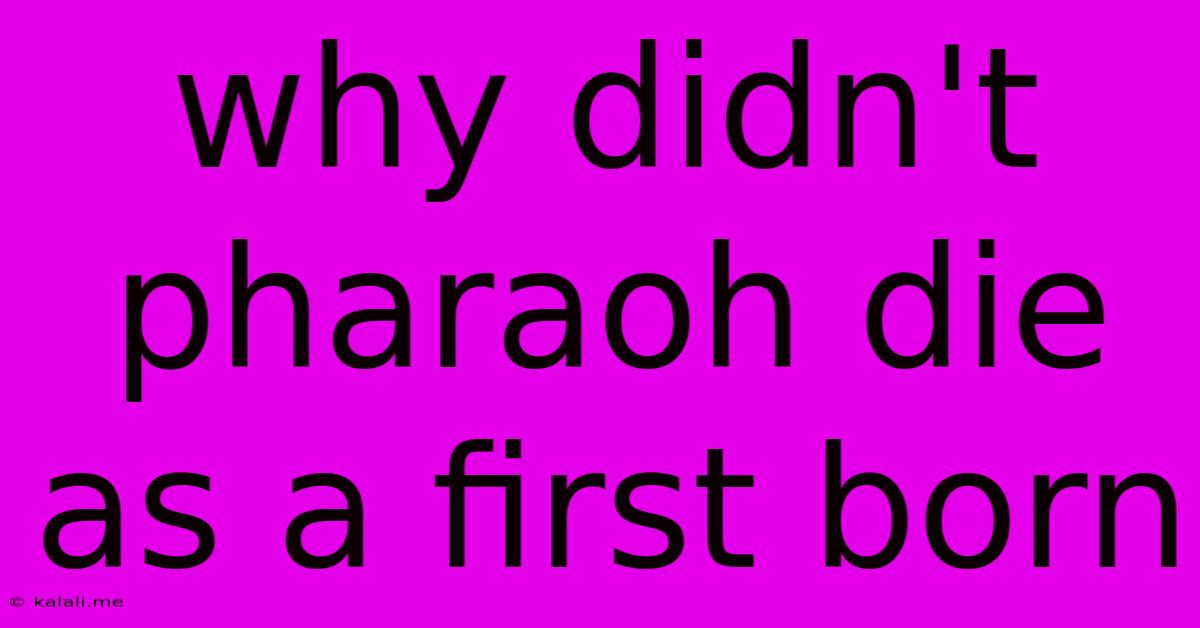 Why Didn't Pharaoh Die As A First Born