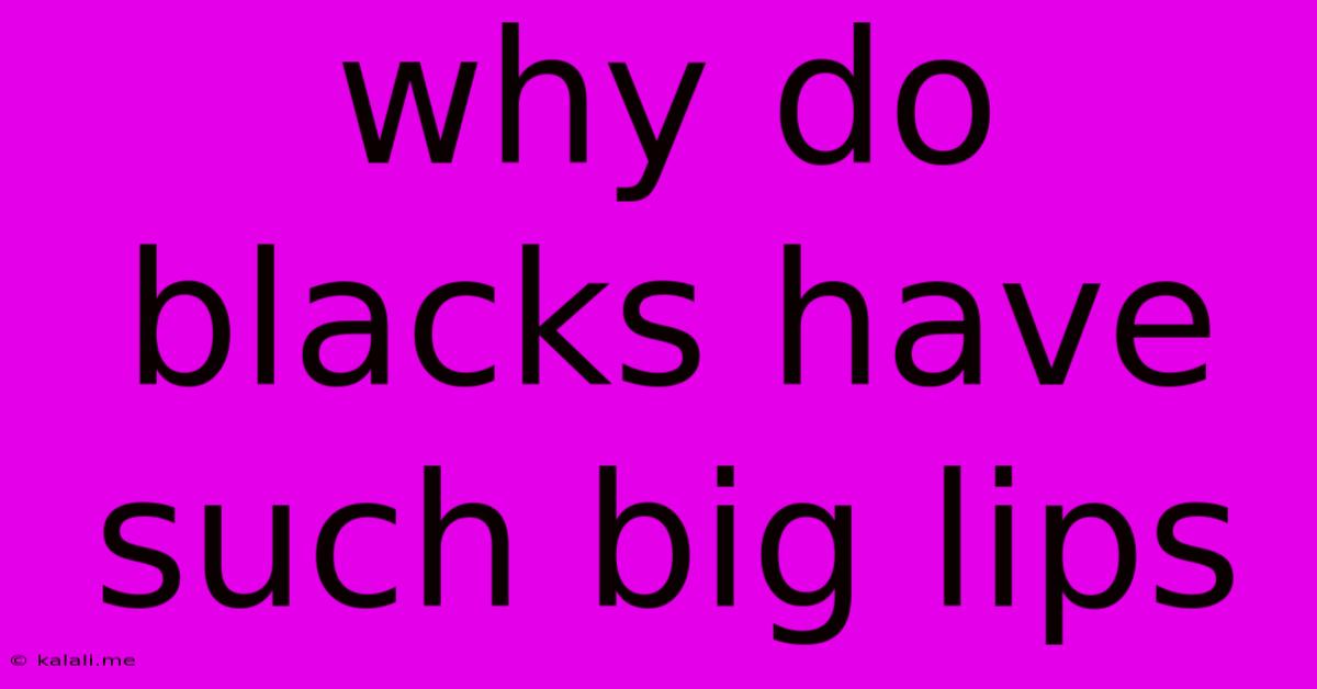 Why Do Blacks Have Such Big Lips