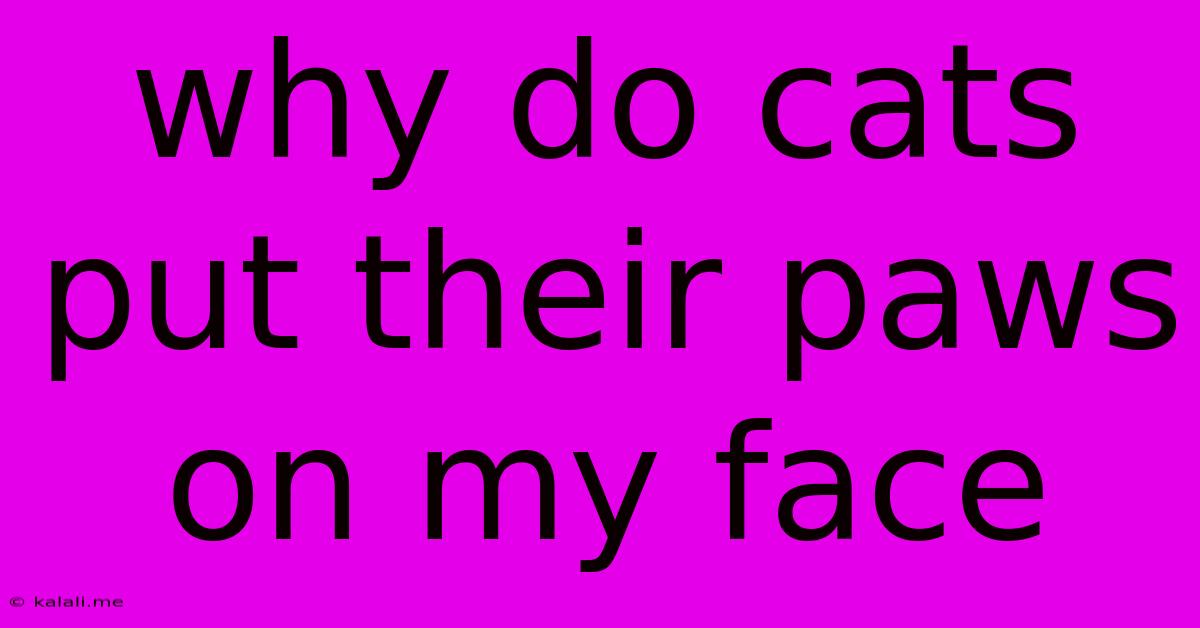 Why Do Cats Put Their Paws On My Face