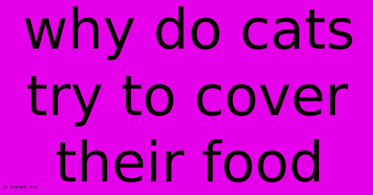 Why Do Cats Try To Cover Their Food