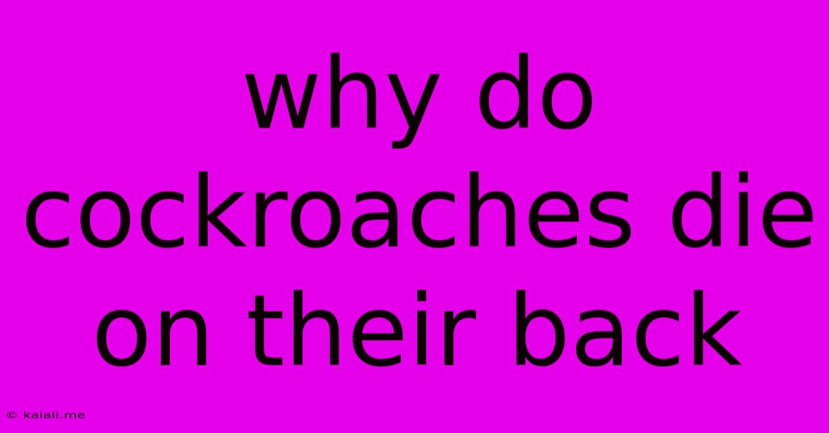 Why Do Cockroaches Die On Their Back