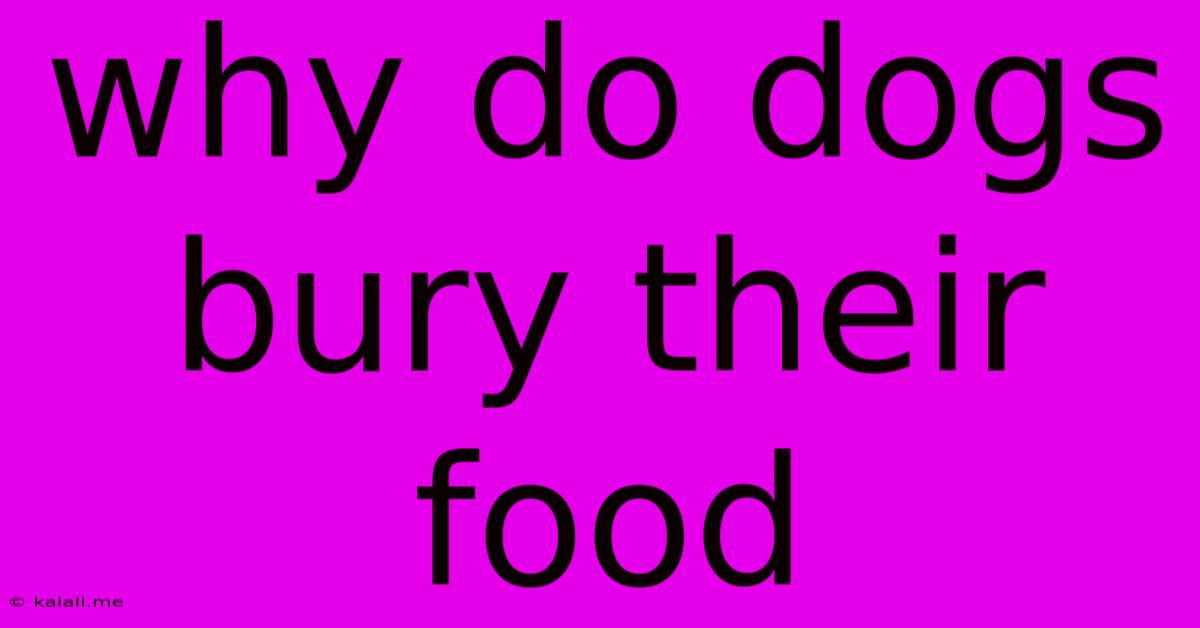 Why Do Dogs Bury Their Food