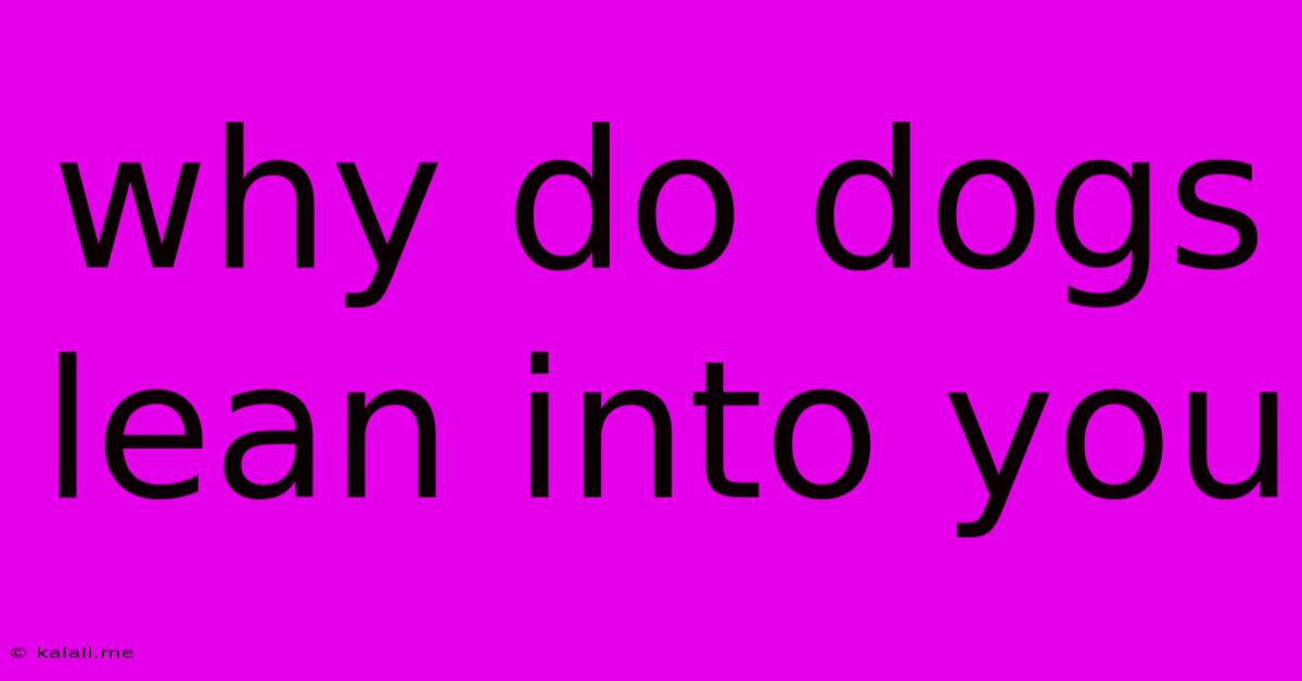 Why Do Dogs Lean Into You