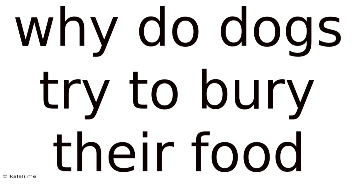 Why Do Dogs Try To Bury Their Food