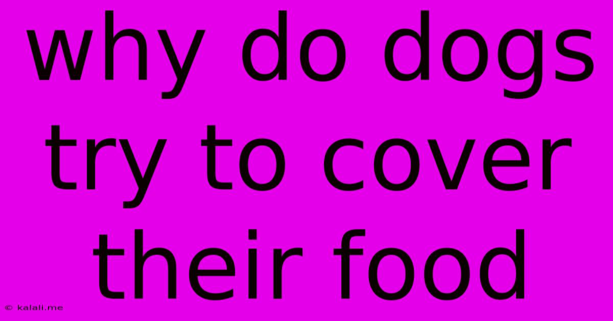 Why Do Dogs Try To Cover Their Food