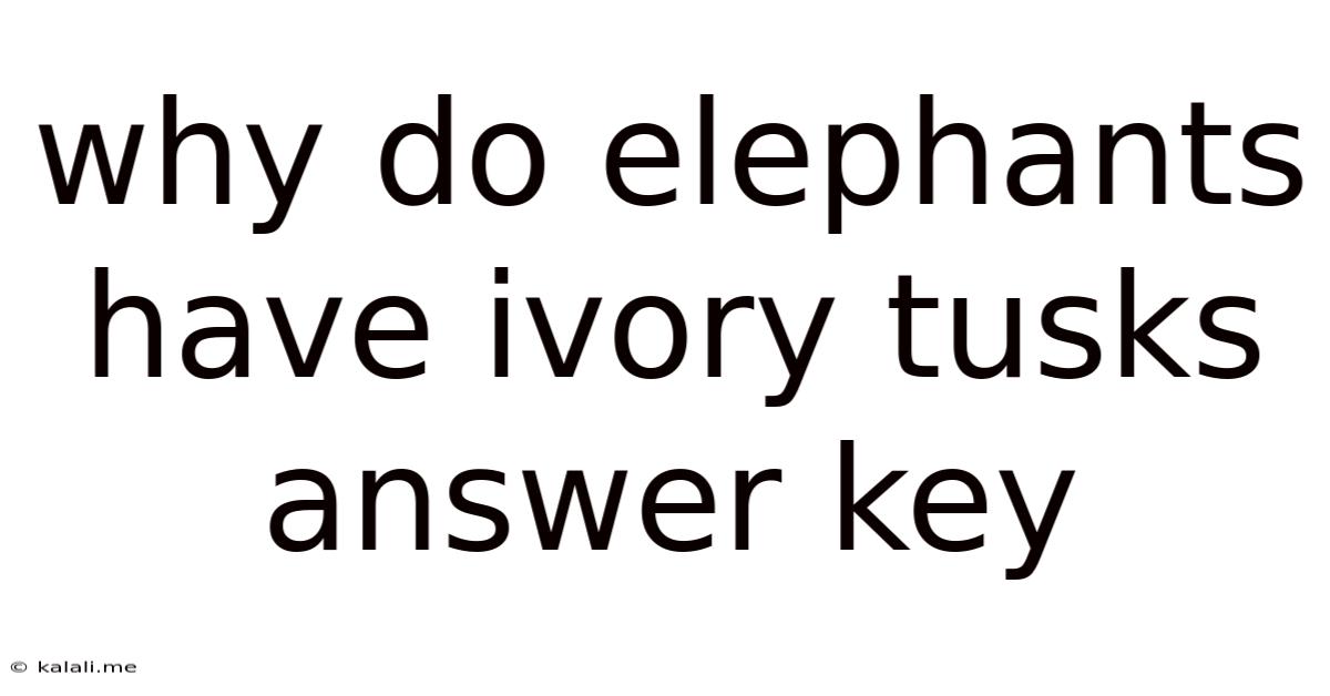 Why Do Elephants Have Ivory Tusks Answer Key
