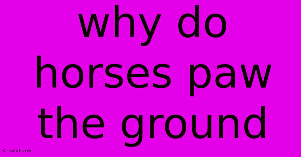 Why Do Horses Paw The Ground