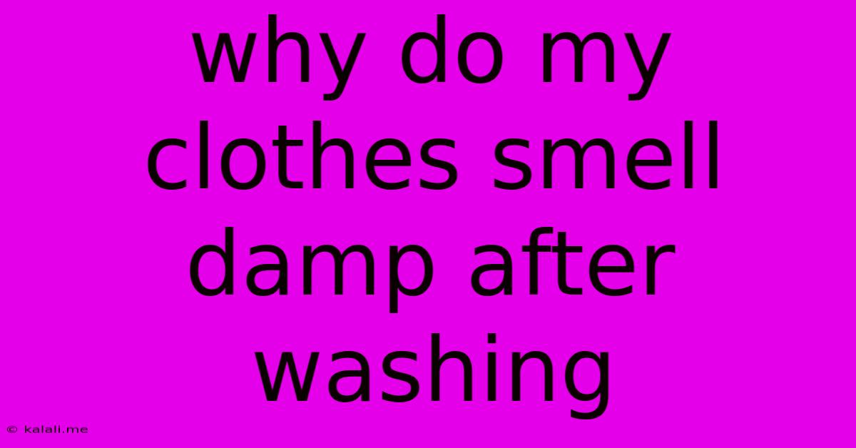 Why Do My Clothes Smell Damp After Washing