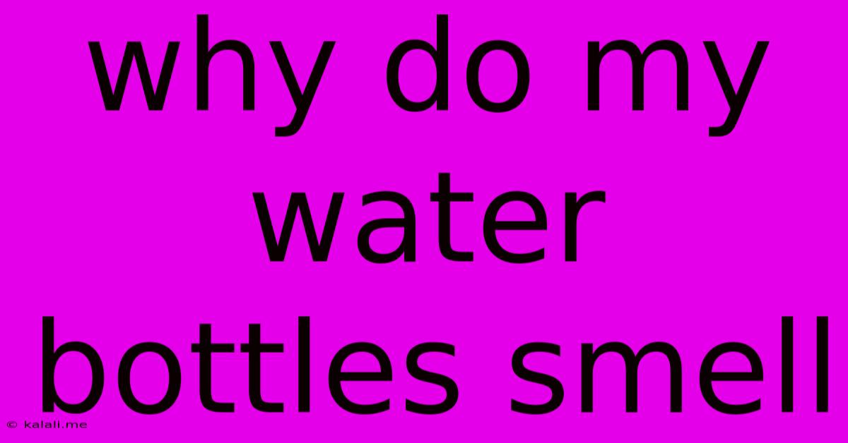 Why Do My Water Bottles Smell
