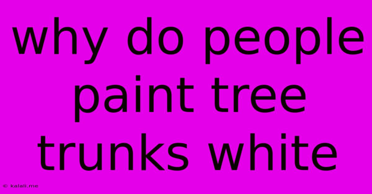 Why Do People Paint Tree Trunks White