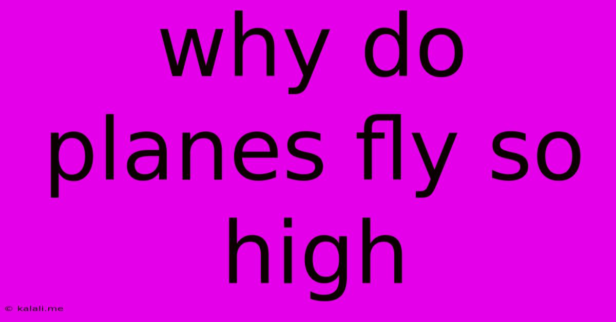 Why Do Planes Fly So High