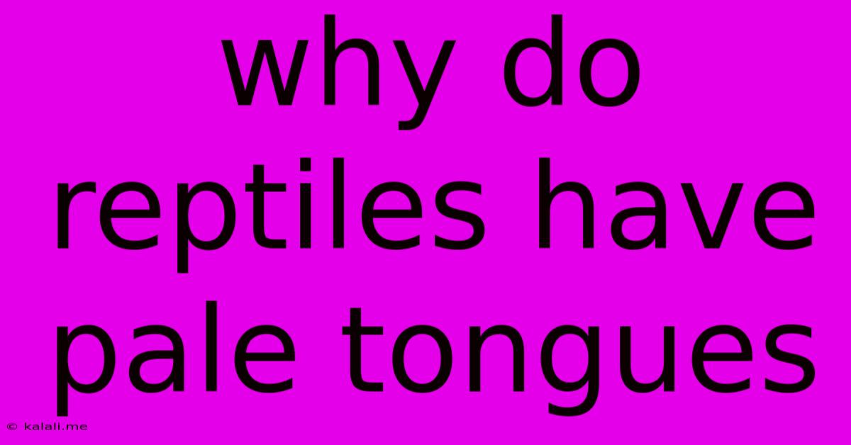 Why Do Reptiles Have Pale Tongues