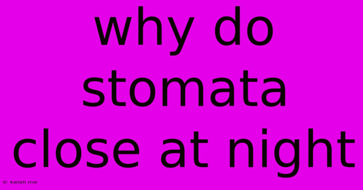 Why Do Stomata Close At Night