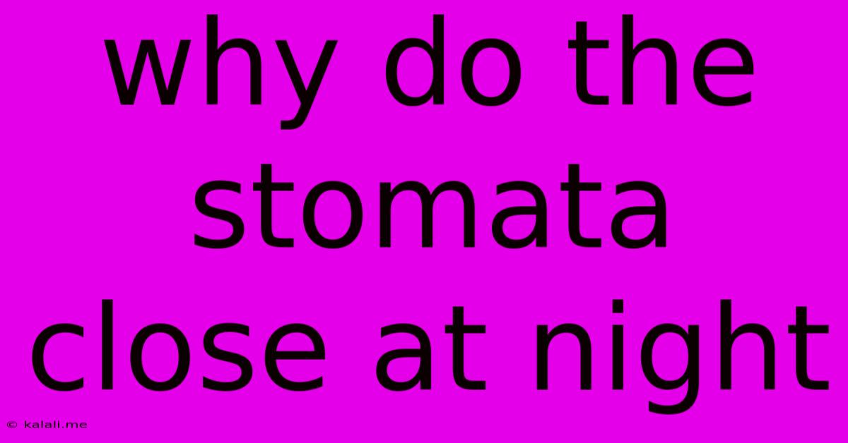 Why Do The Stomata Close At Night