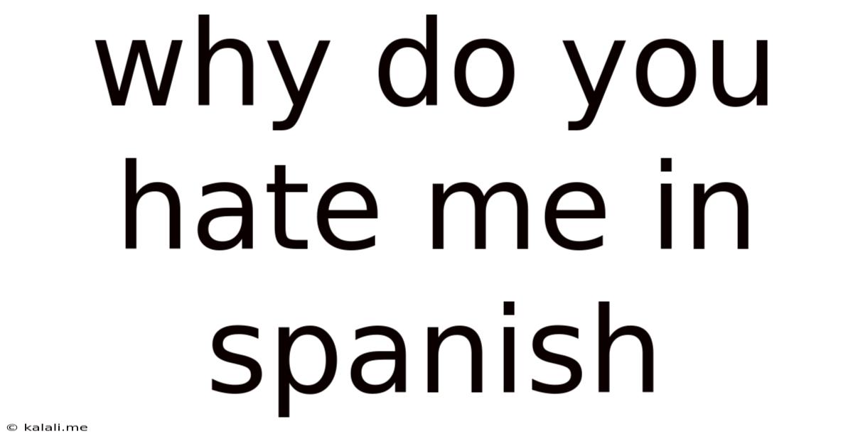 Why Do You Hate Me In Spanish