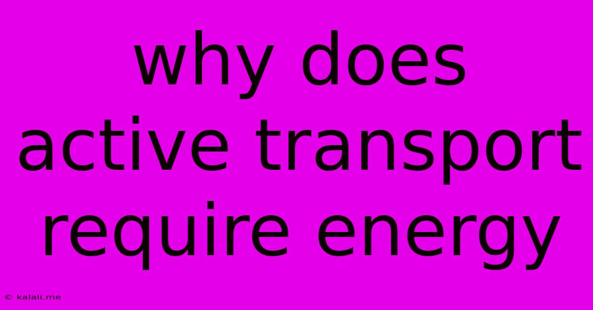 Why Does Active Transport Require Energy