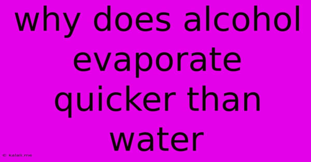 Why Does Alcohol Evaporate Quicker Than Water