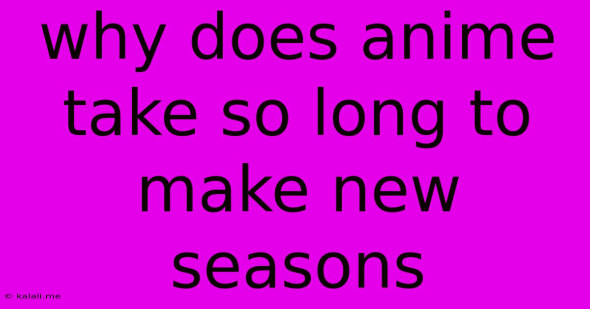 Why Does Anime Take So Long To Make New Seasons