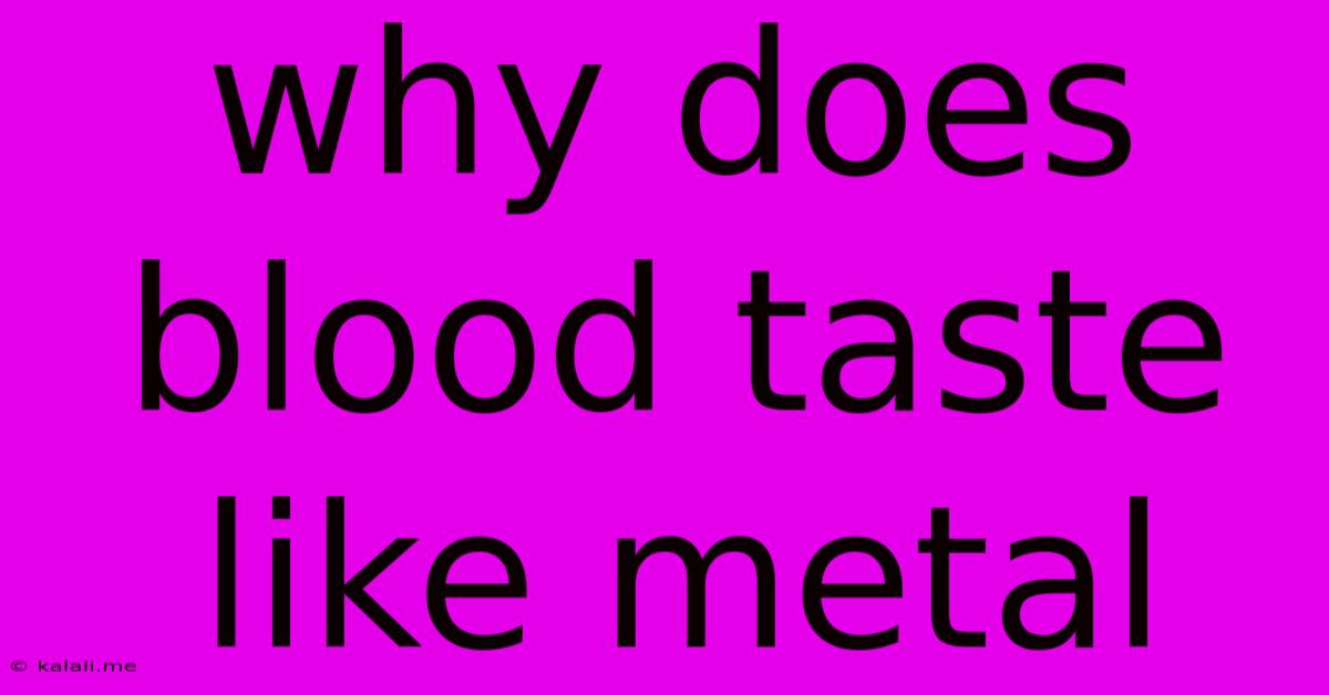 Why Does Blood Taste Like Metal