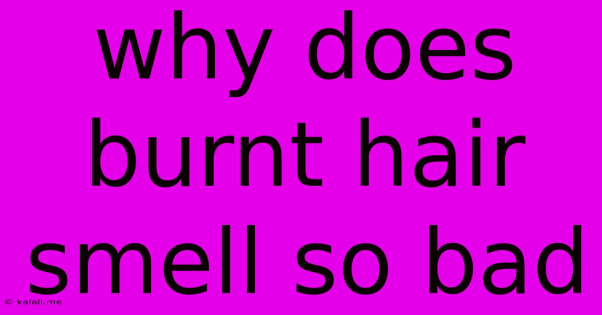 Why Does Burnt Hair Smell So Bad