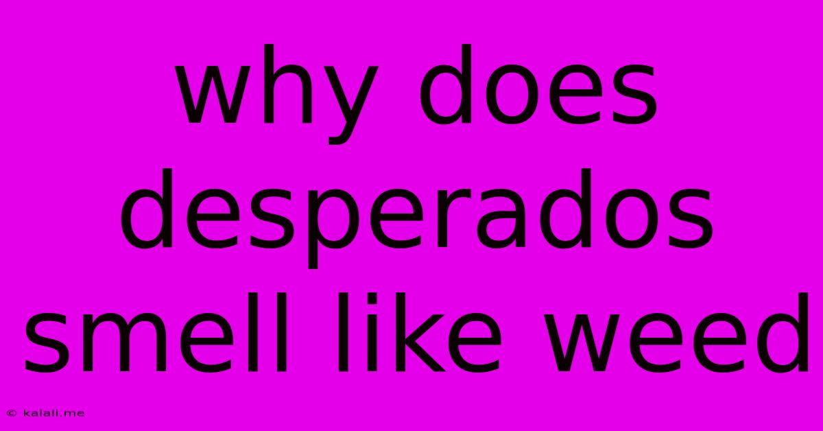 Why Does Desperados Smell Like Weed