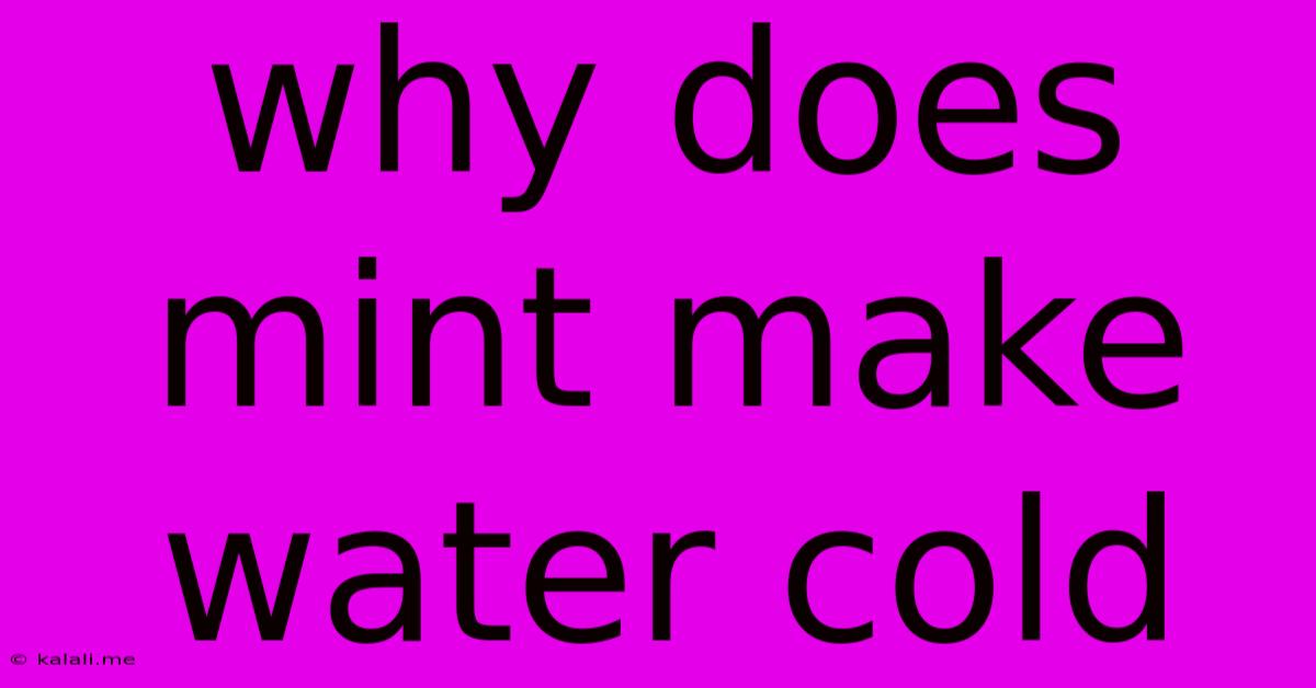 Why Does Mint Make Water Cold
