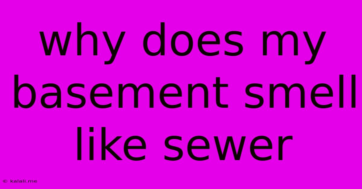 Why Does My Basement Smell Like Sewer