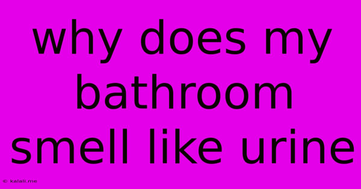 Why Does My Bathroom Smell Like Urine