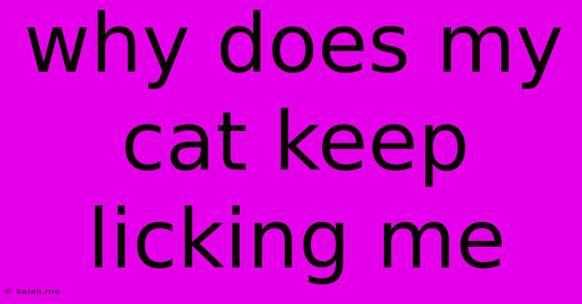 Why Does My Cat Keep Licking Me