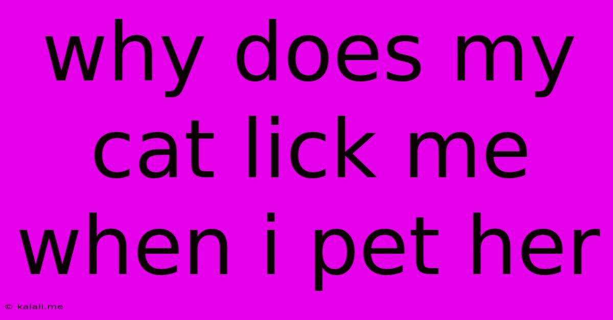 Why Does My Cat Lick Me When I Pet Her