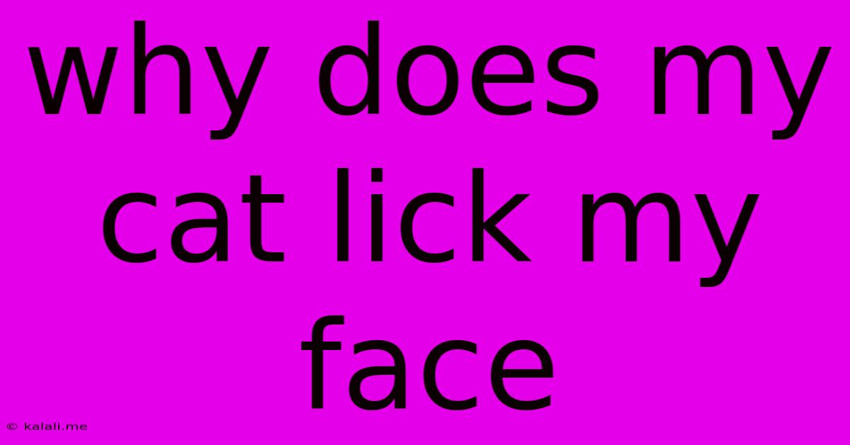 Why Does My Cat Lick My Face