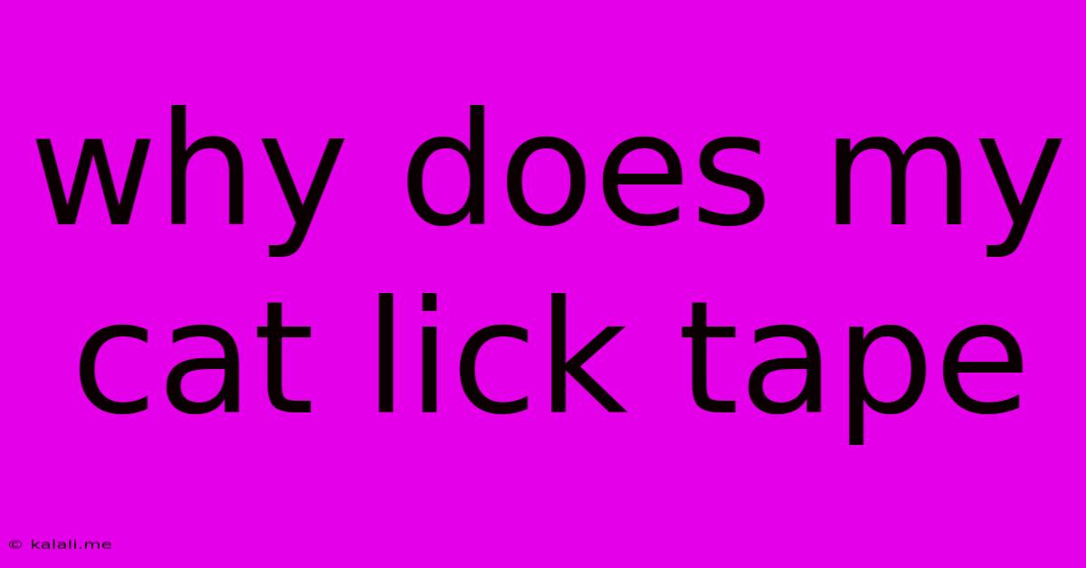 Why Does My Cat Lick Tape