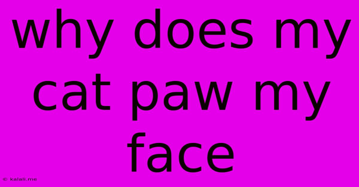 Why Does My Cat Paw My Face