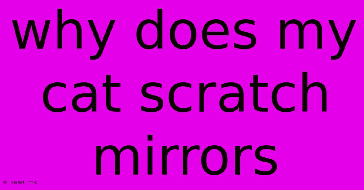 Why Does My Cat Scratch Mirrors