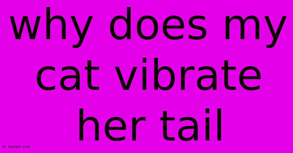 Why Does My Cat Vibrate Her Tail