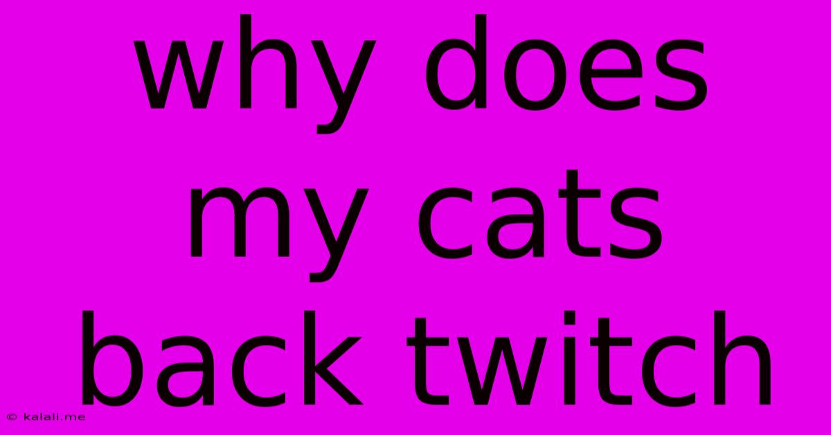 Why Does My Cats Back Twitch
