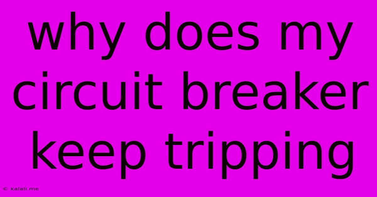 Why Does My Circuit Breaker Keep Tripping