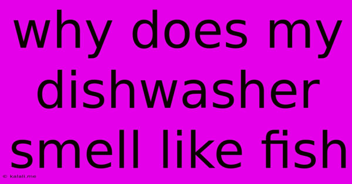 Why Does My Dishwasher Smell Like Fish
