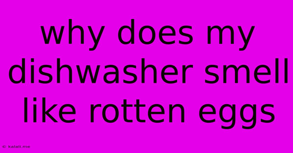 Why Does My Dishwasher Smell Like Rotten Eggs