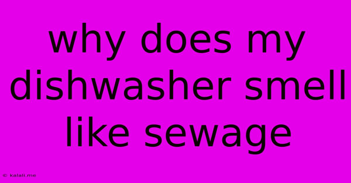 Why Does My Dishwasher Smell Like Sewage