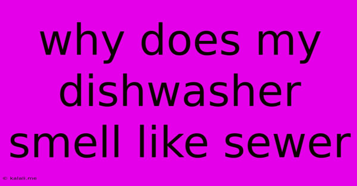 Why Does My Dishwasher Smell Like Sewer