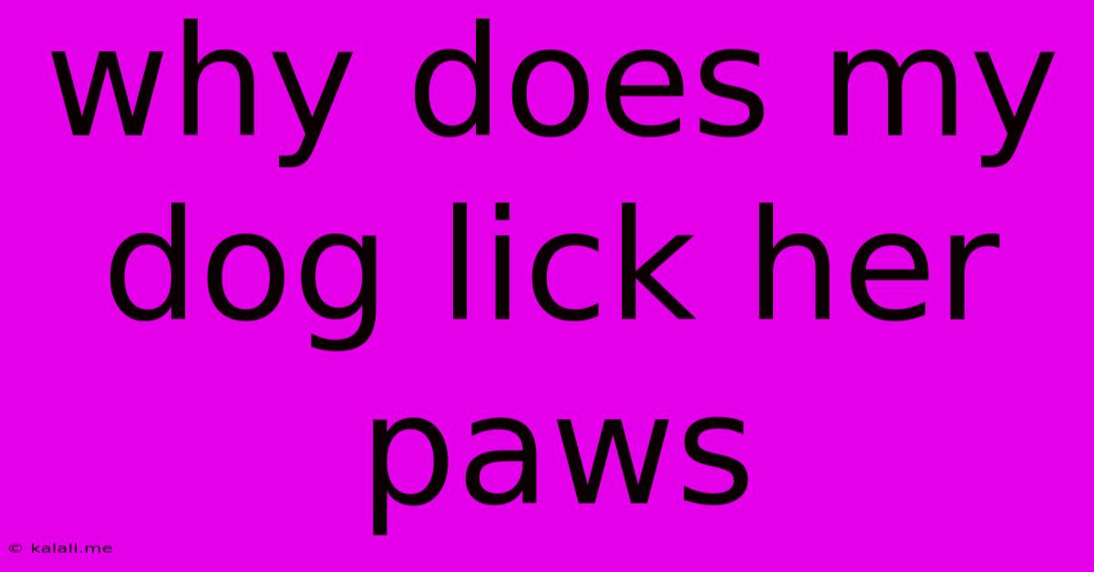 Why Does My Dog Lick Her Paws