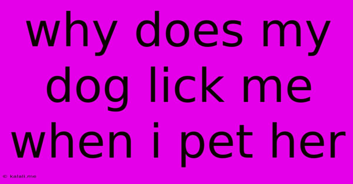 Why Does My Dog Lick Me When I Pet Her